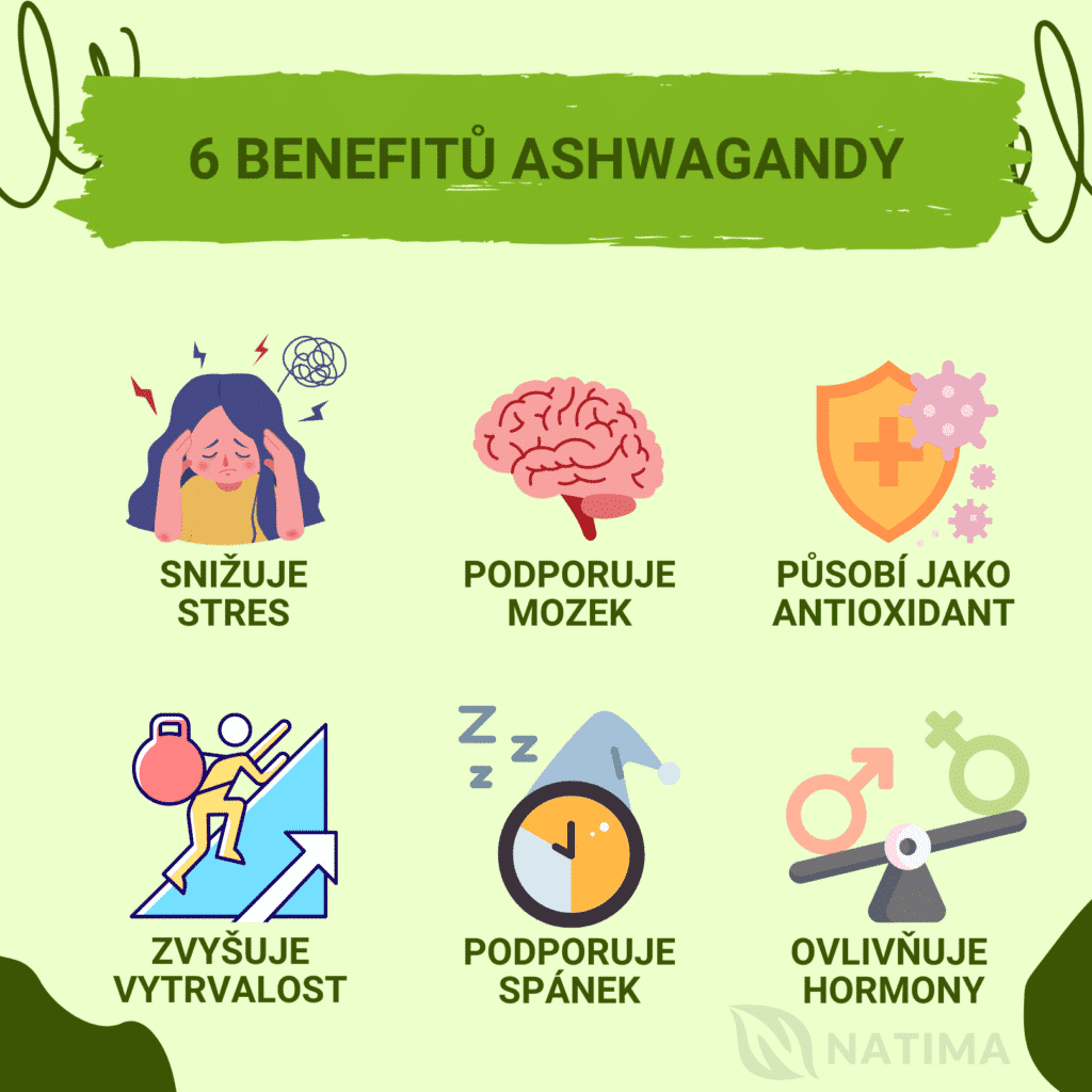 6 BENEFITU ASHWAGANDY1 1024x1024 1