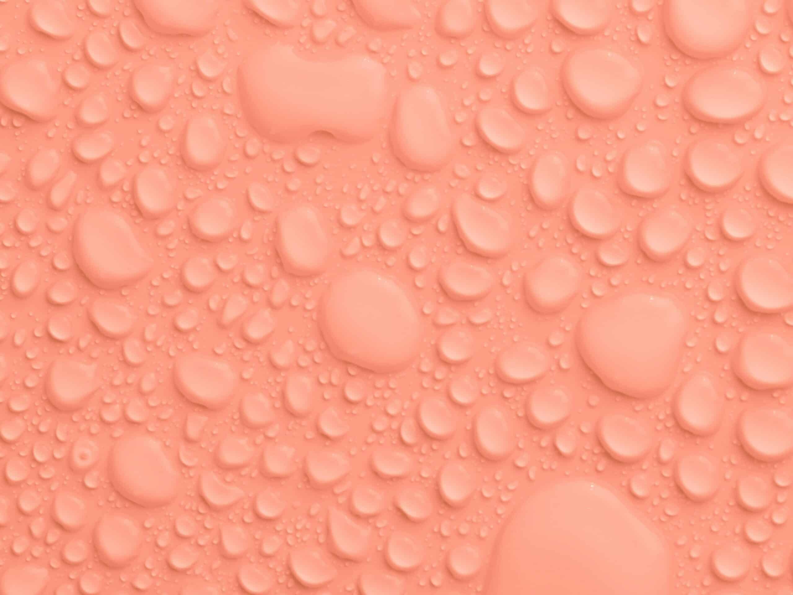 Jaké zvolit barvy do ložnice? Inspirujte se barvami pro klidný spánek 5 pexels karolina grabowska 4194842 edited 1 scaled