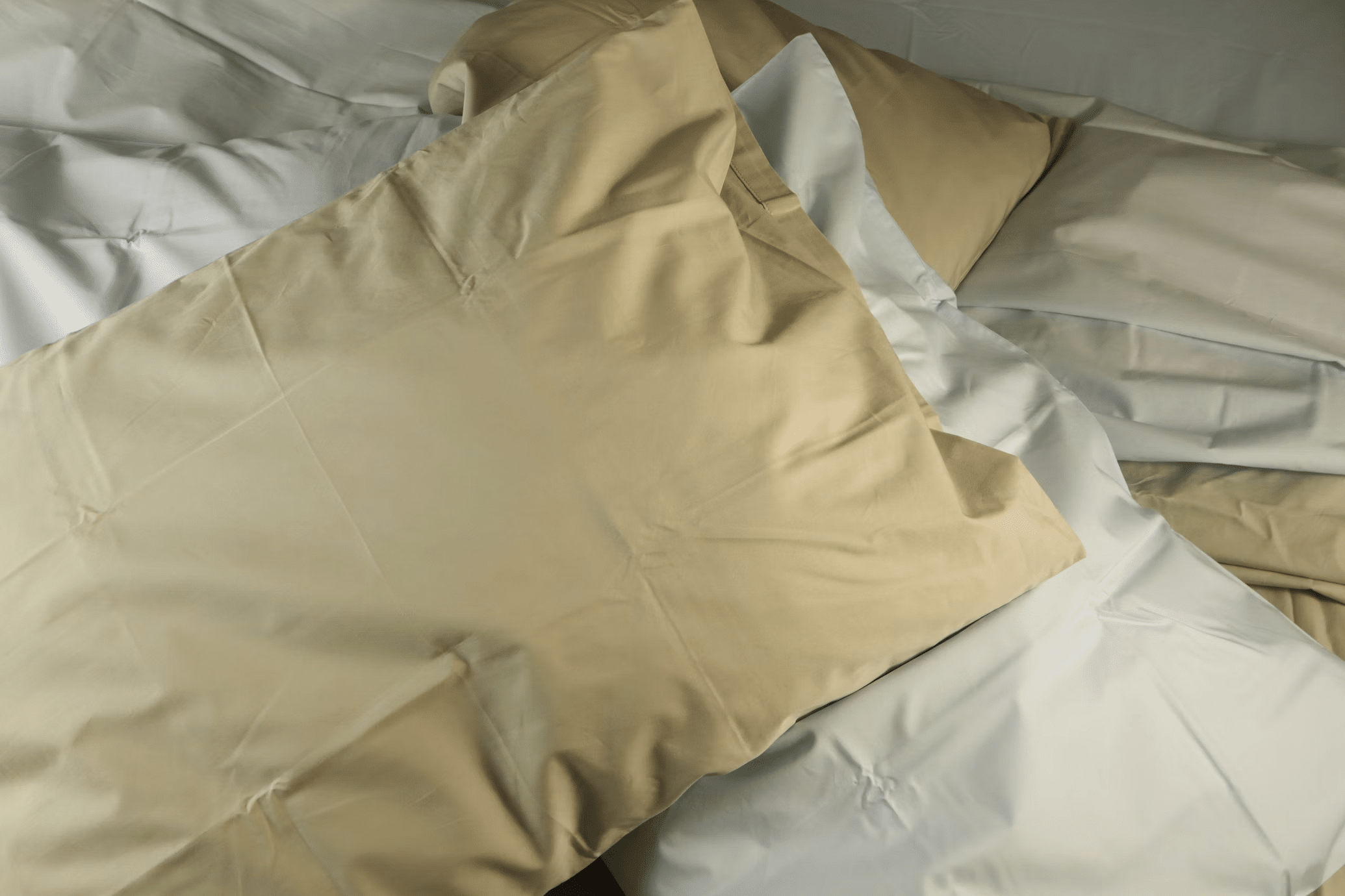 obrazek 2025 06 02 202436092