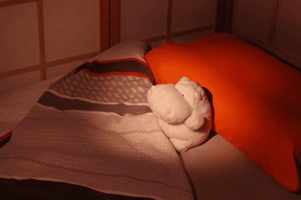 Biohacking spánku: Tohle dnes používají elitní sportovci a startupisti! 2 obrazek 2025 07 23 143202696