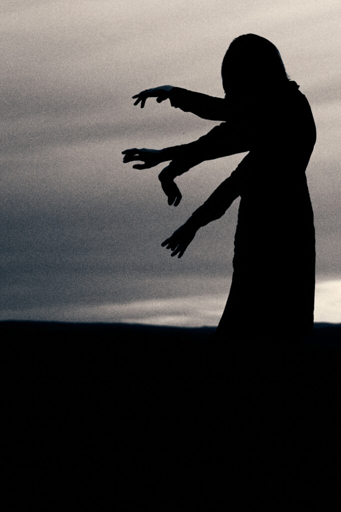 camille martins dykyqewh6ge unsplash