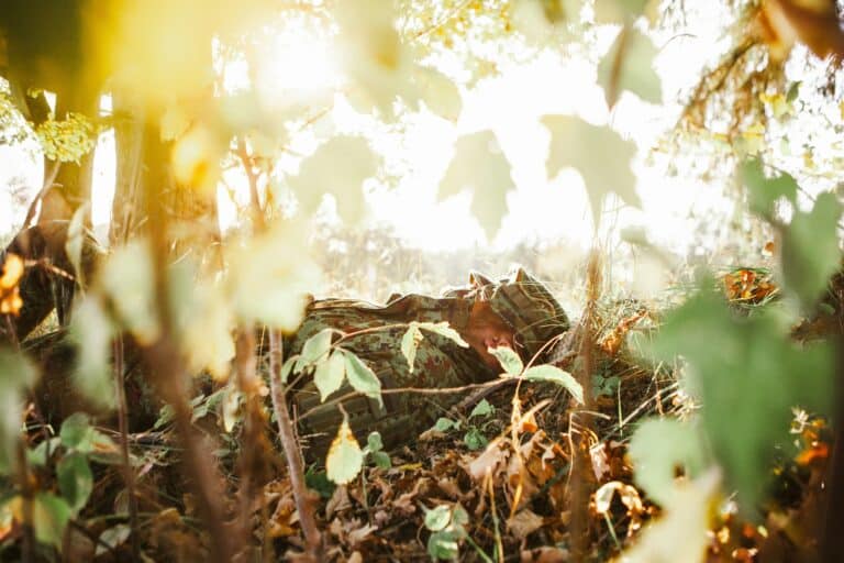 jaanus jagomagi 8lzimkj1rxq unsplash