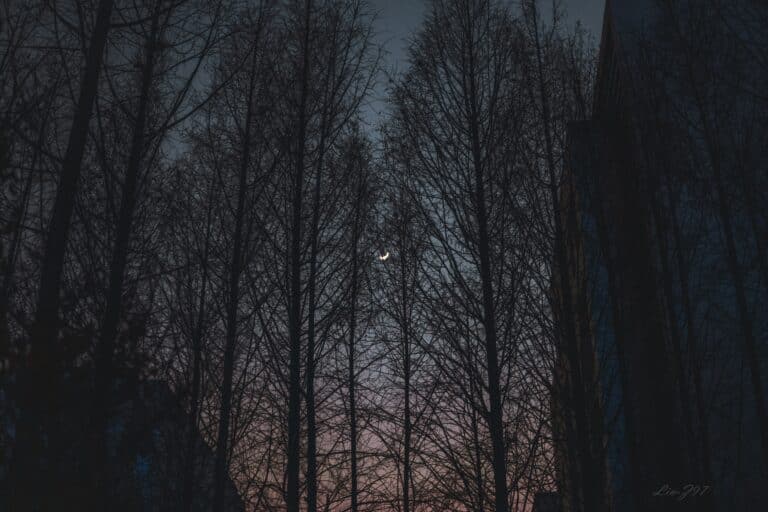 lin z97 36xgoaatyk4 unsplash