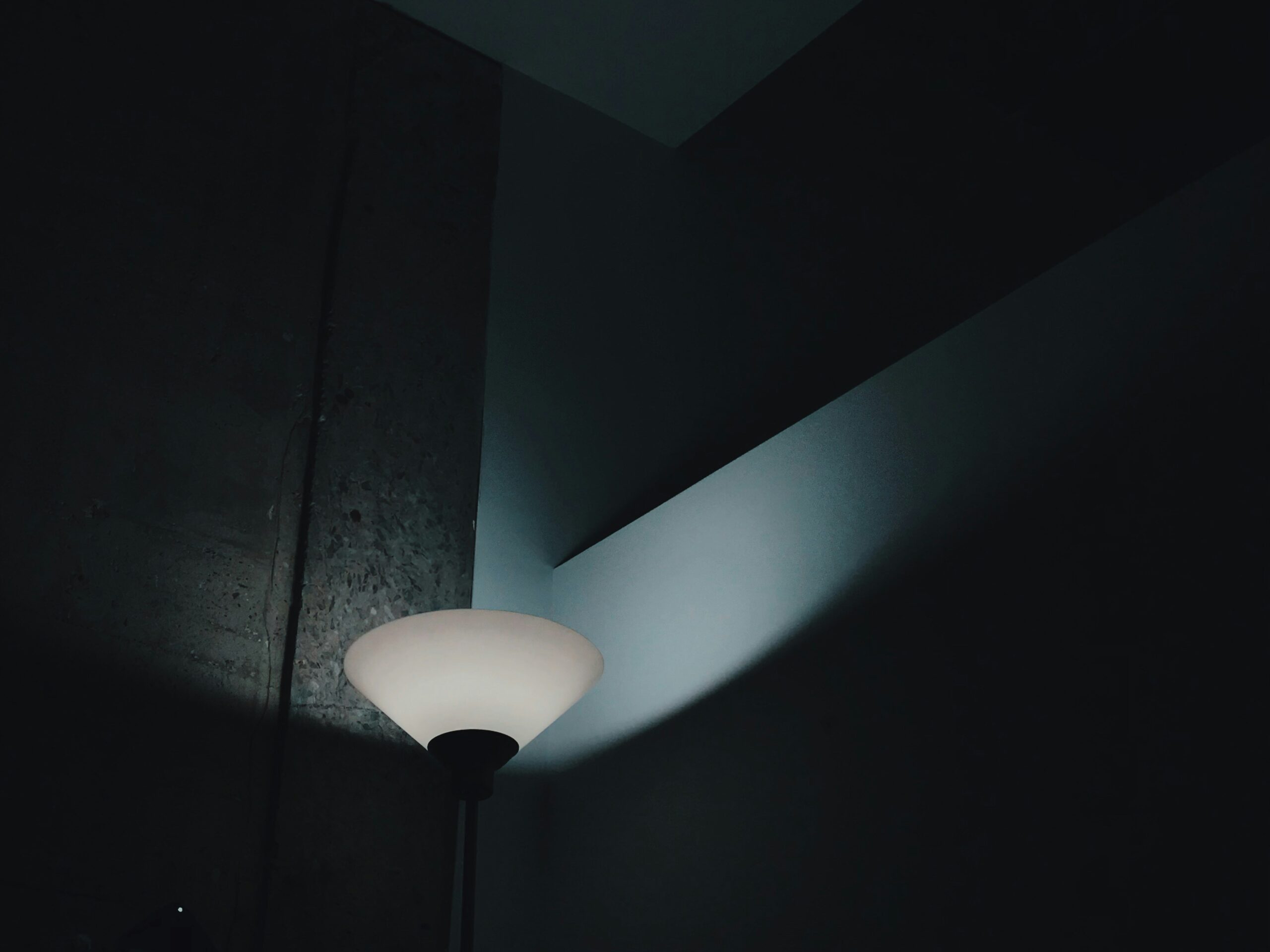 shanna camilleri 3hekkfz3aqe unsplash scaled