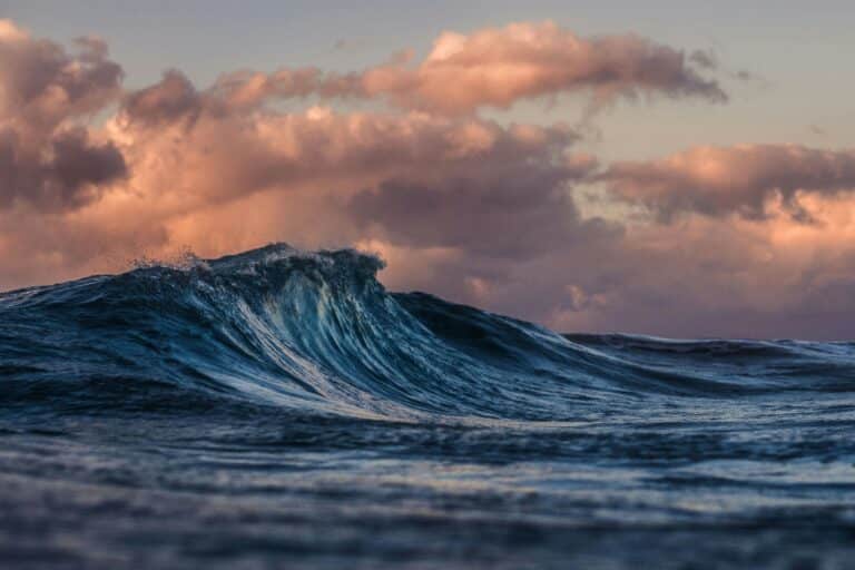 silas baisch ceito2rldgc unsplash 1