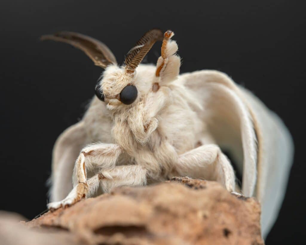 jackie best xlvcgaxh9nk unsplash 1