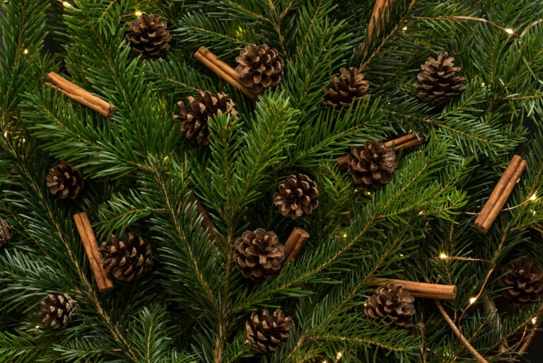joanna kosinska lsb0agj gbq unsplash