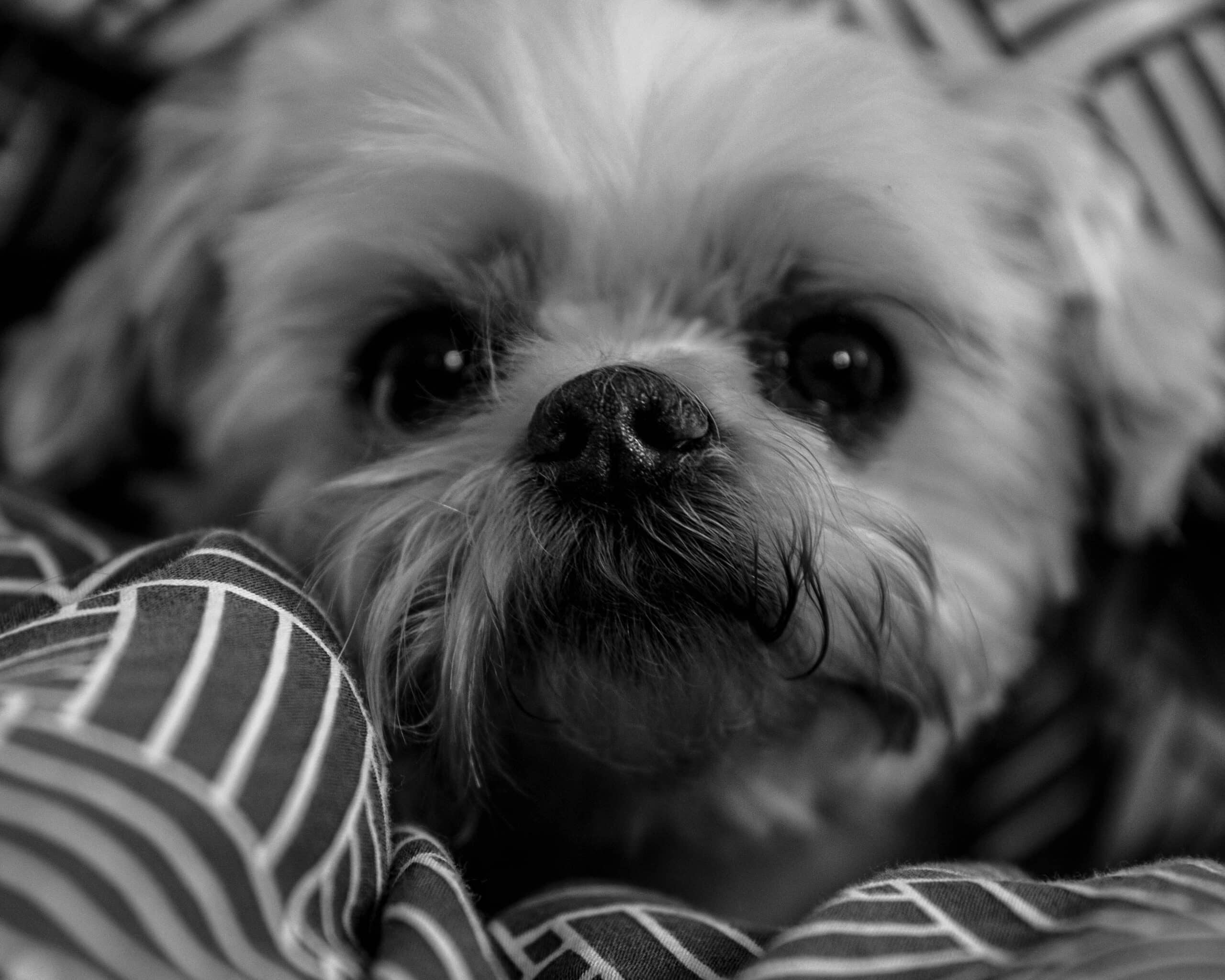 kim becker lmgliykuxj8 unsplash scaled