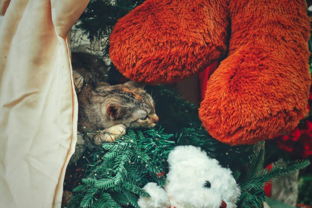 vy le govlsuvmfz0 unsplash