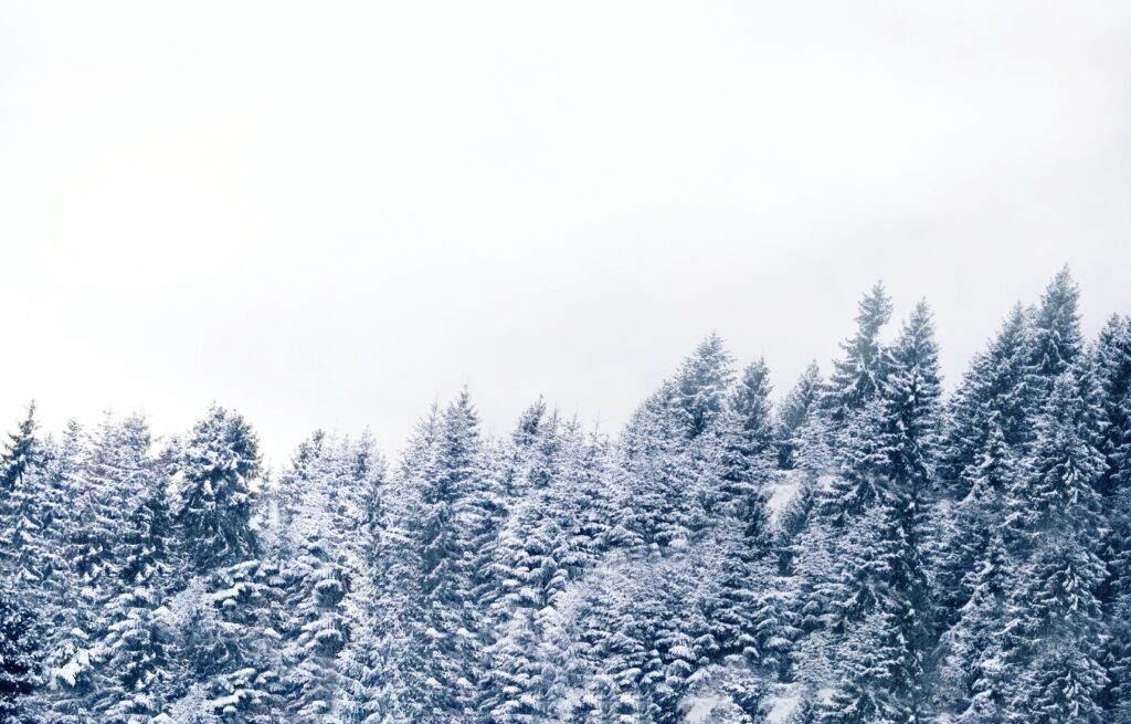 adrian regeci uguhspgqbdo unsplash