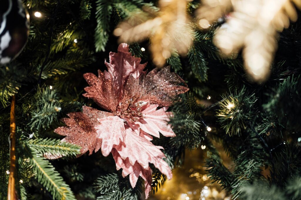 chuttersnap nfbpnxhw58y unsplash