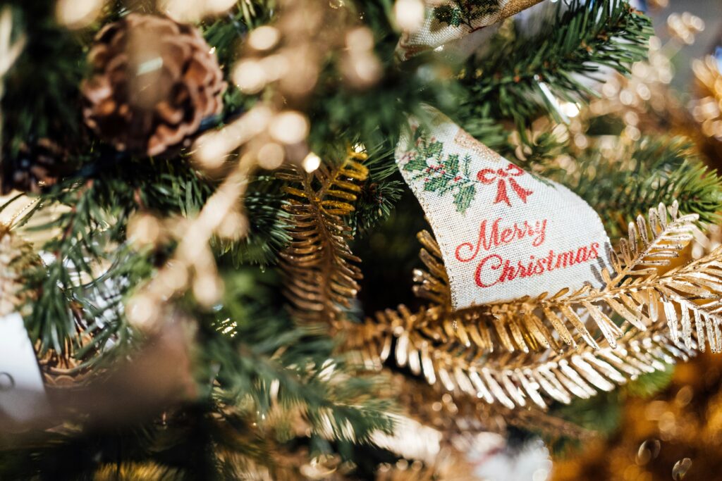 chuttersnap pzz7l pispc unsplash