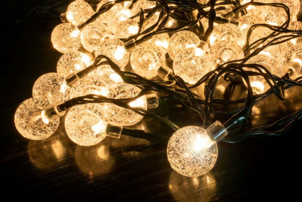 daniela paola alchapar z2rb0pmubae unsplash