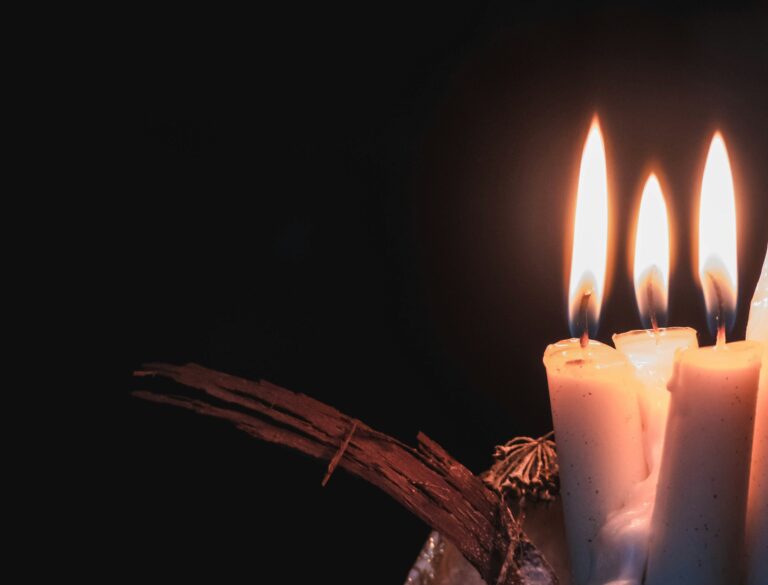 david boca eb3bjhnqno0 unsplash