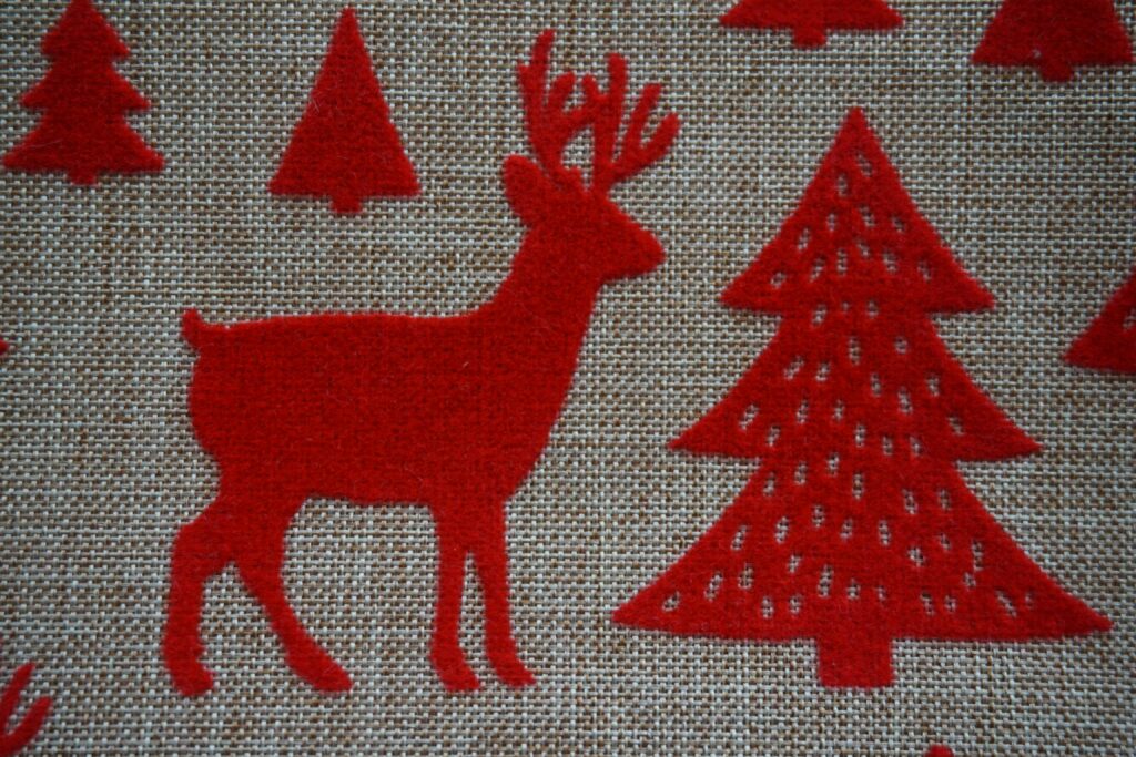 ivanka krochak mtxmxdsn6o unsplash