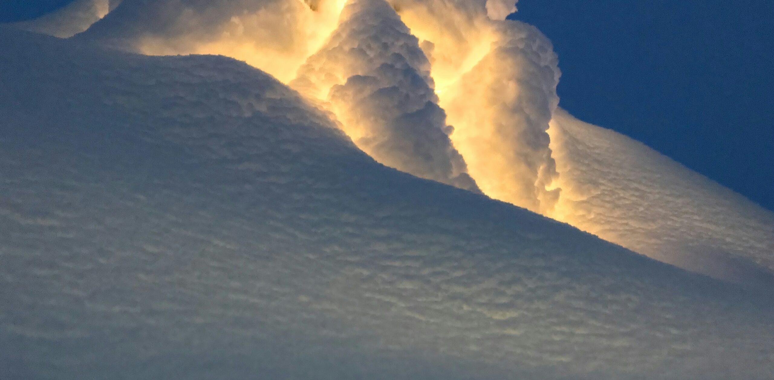 jannic bohme wikqf mxpxs unsplash scaled e1764078040416