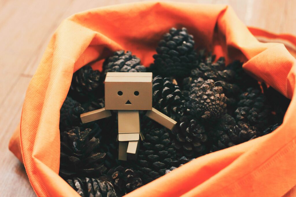 jem sahagun tzutfxaau5a unsplash