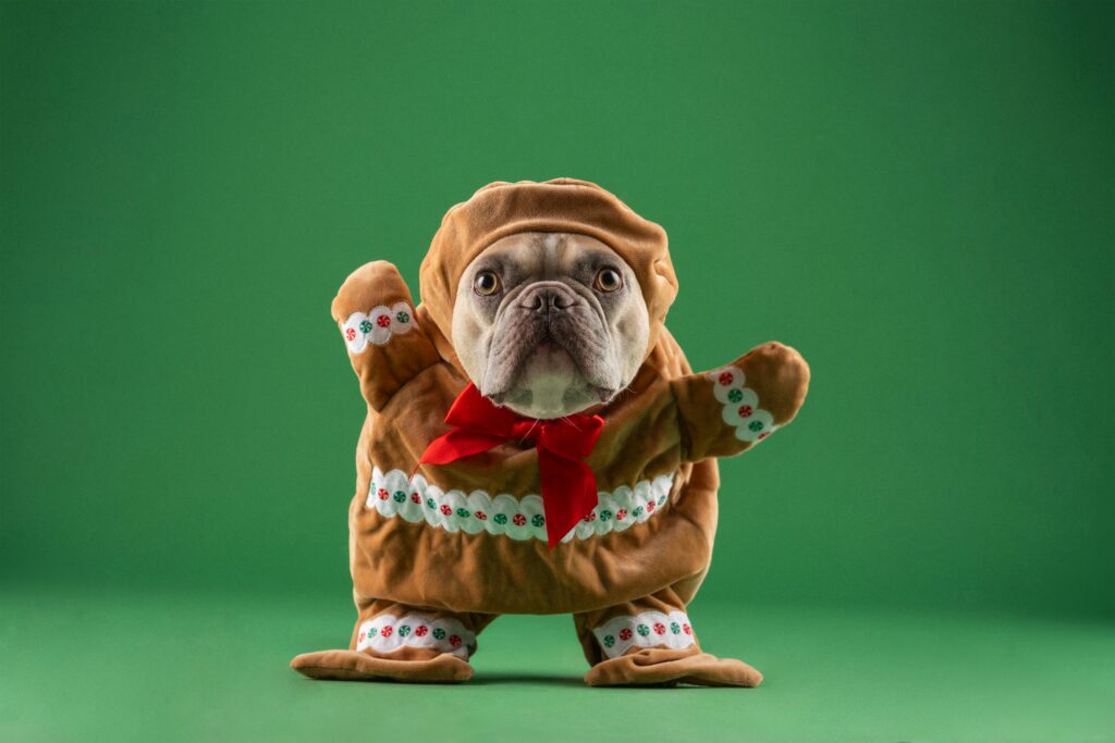 karsten winegeart kxmrh4qms70 unsplash