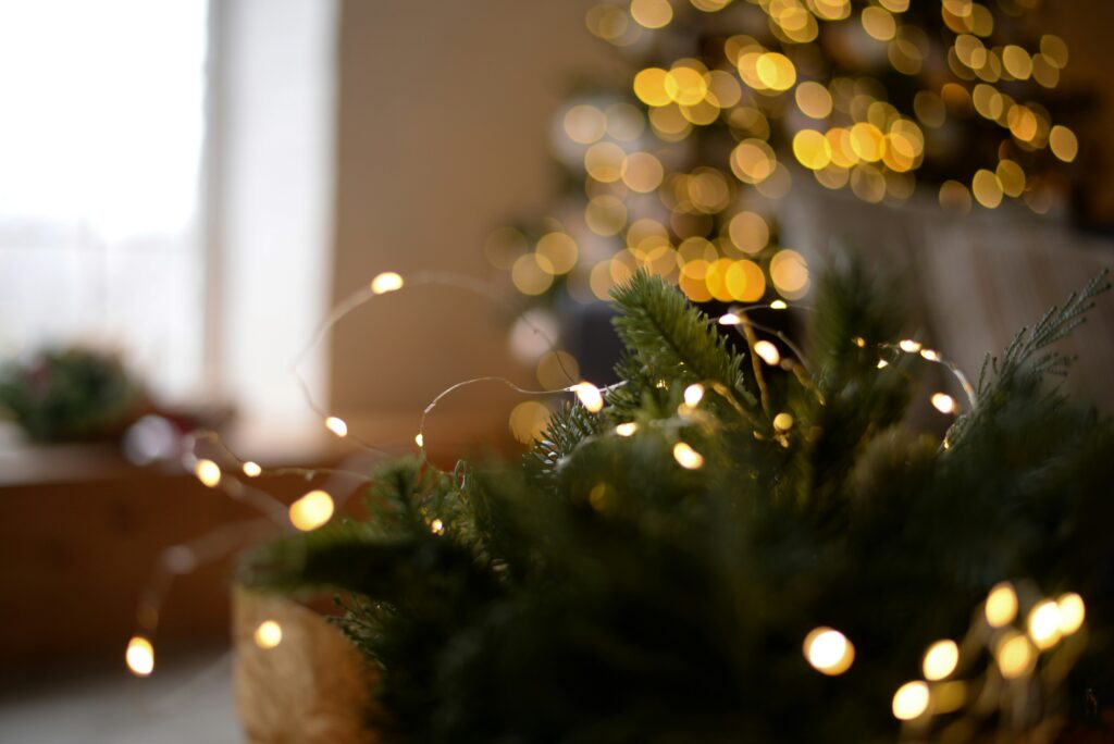 lia den 1vzteib hss unsplash