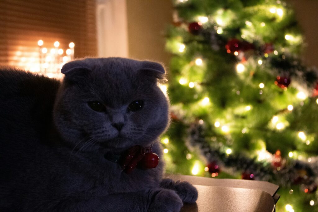 luna scott 3lhsmkcjwi8 unsplash 1