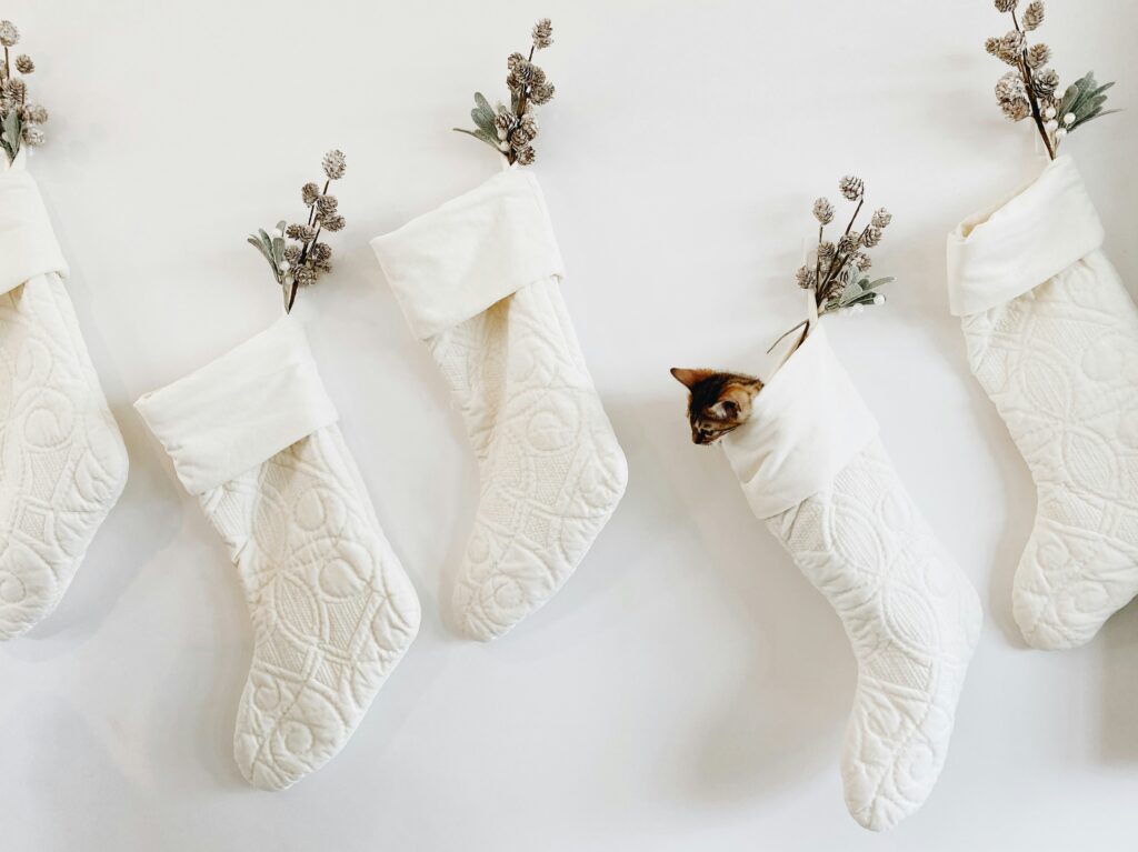 morgan von gunten 2dwqai spnw unsplash