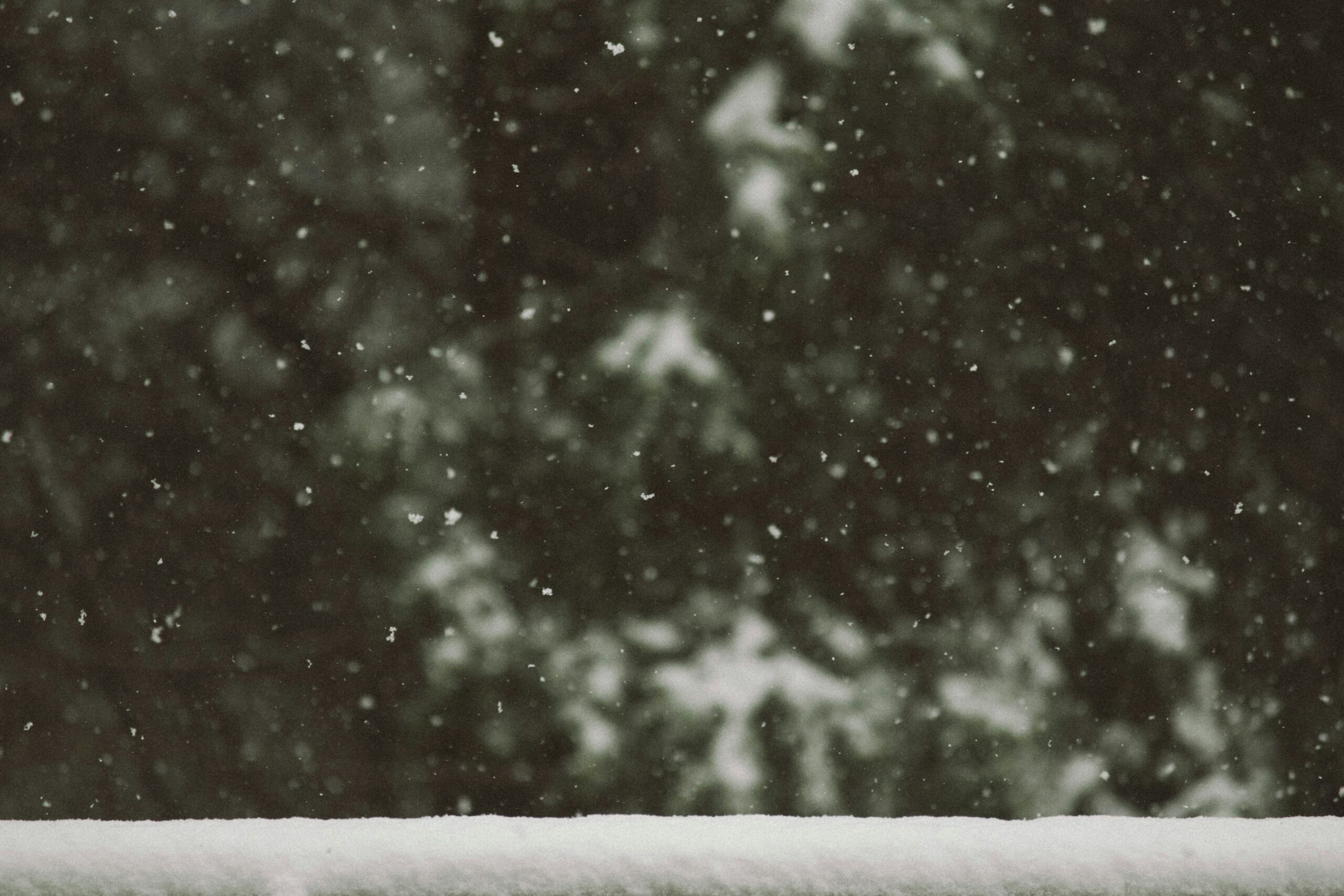nathan fertig scbyogvyb8q unsplash scaled