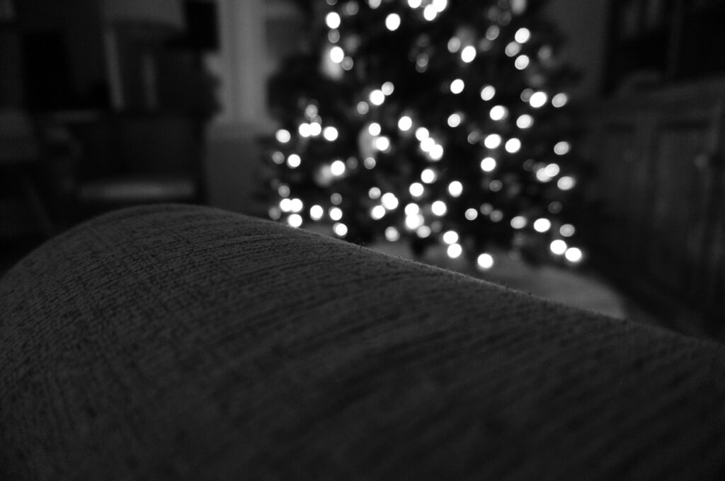 peyton clough 6mdwo5jb4qe unsplash