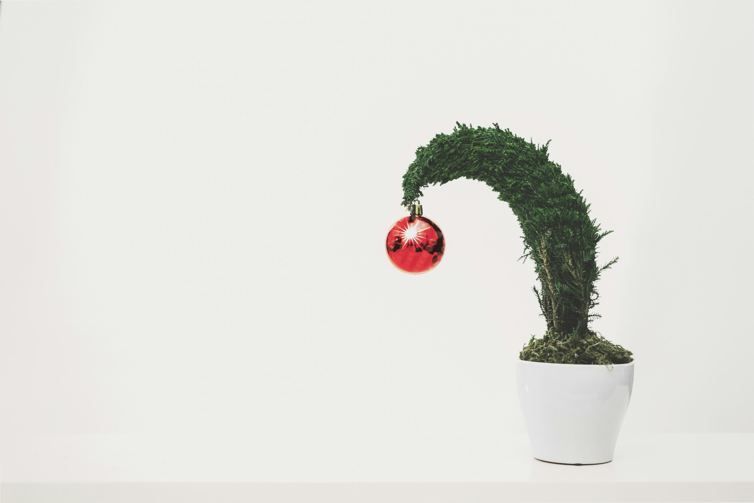scott webb nqr jsop01y unsplash scaled