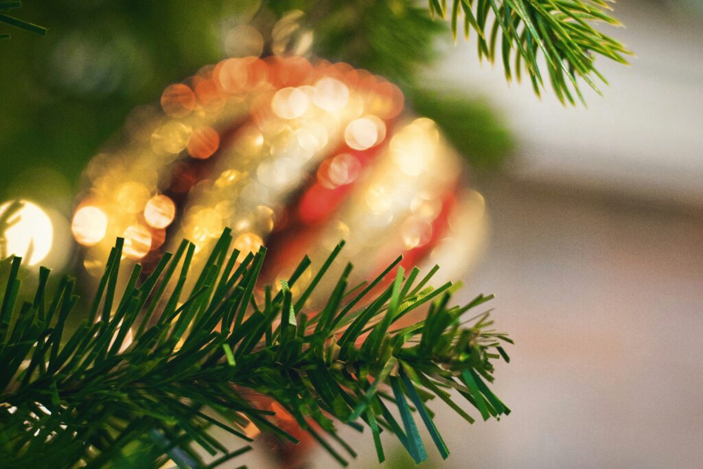 tyler rutherford qewh9auhi6w unsplash 1