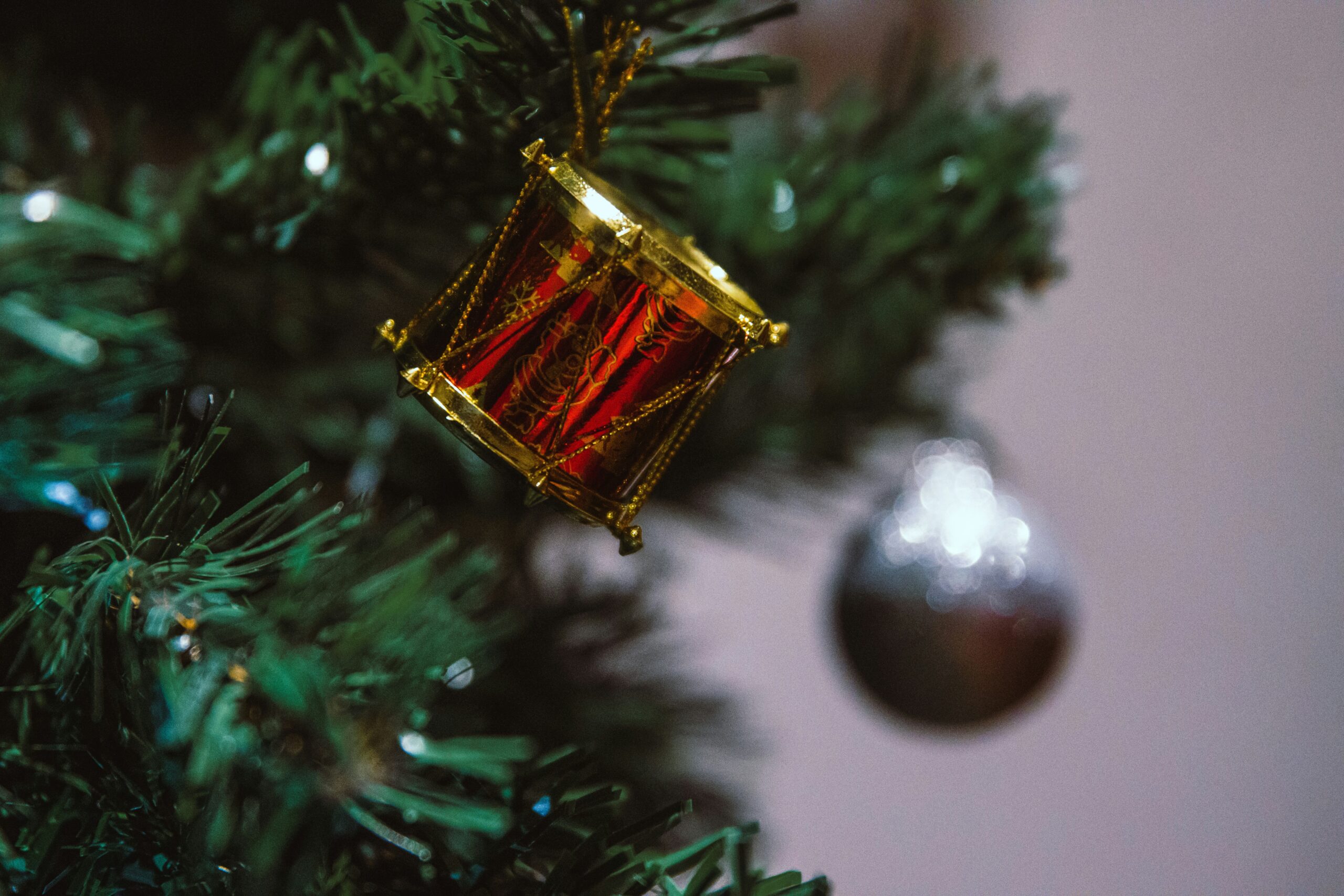 vijesh datt t pxlye jpa unsplash scaled