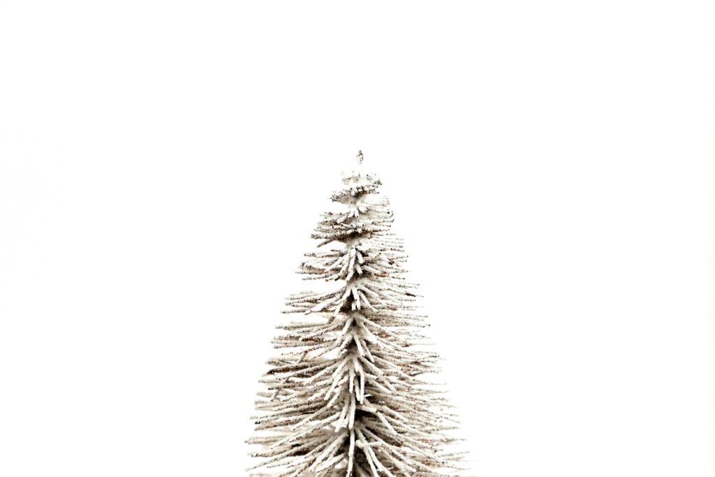 volodymyr hryshchenko uvpgkkc5vxq unsplash