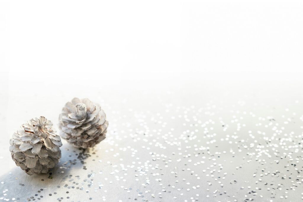 danielle suijkerbuijk 7 y11jpacaa unsplash