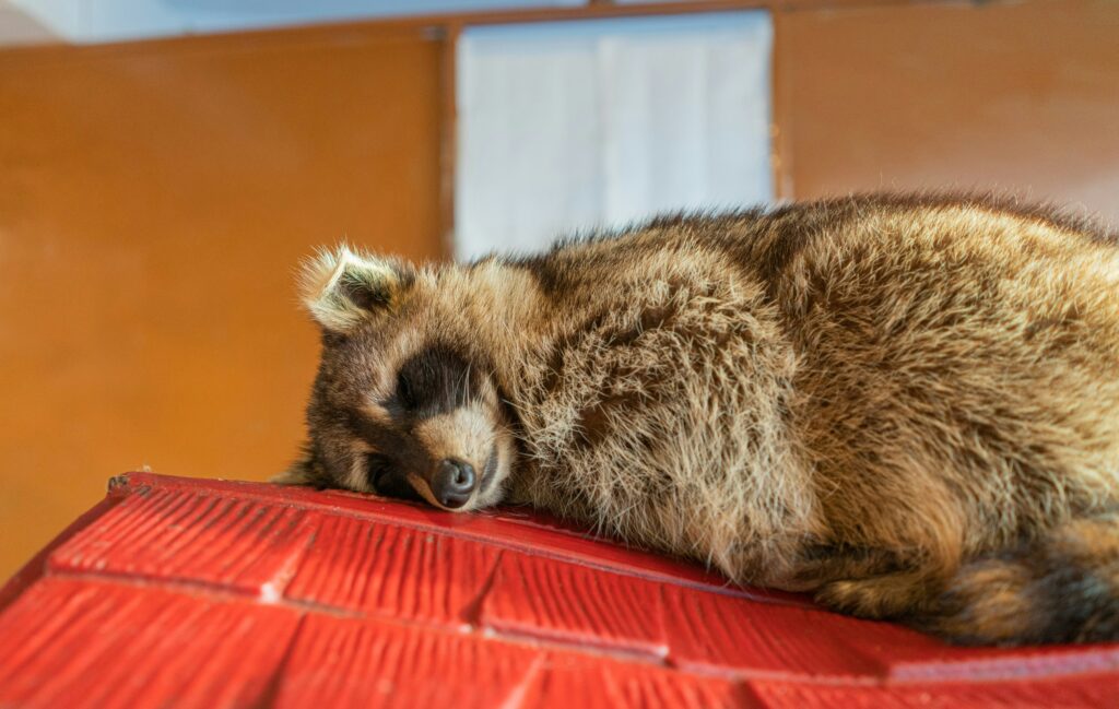 ethan brooke hjrdceslk6c unsplash