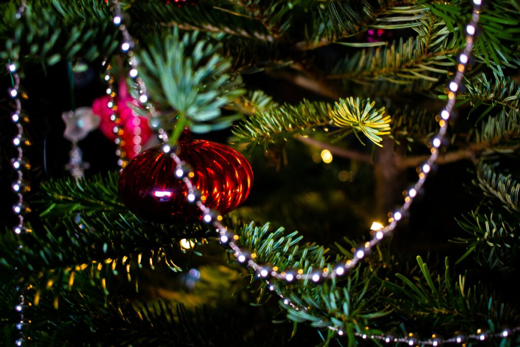 kate shashina x4w51gcgsee unsplash