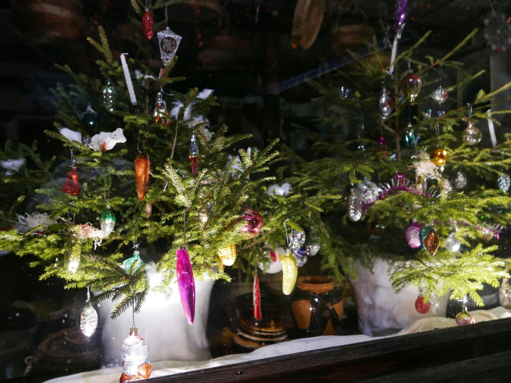 sarlote doroteja j zxnd9kaqq unsplash