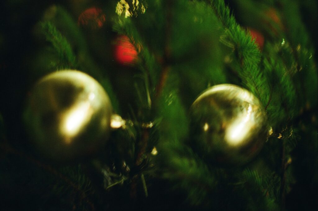 tanya barrow fjiempnubfa unsplash