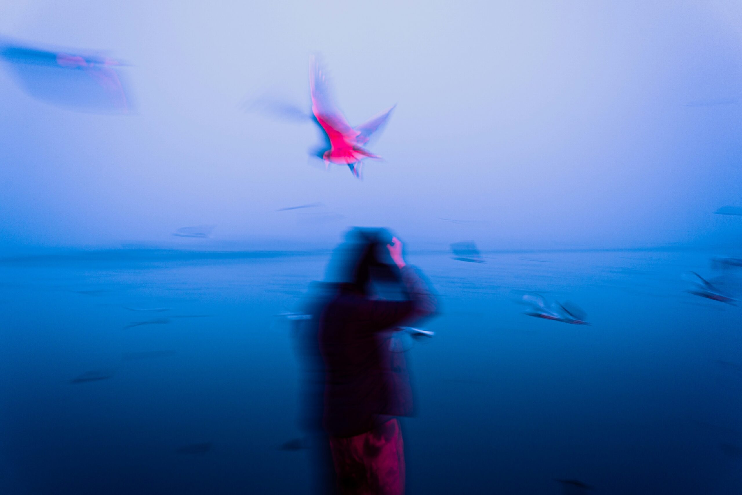 dewang gupta npjam8dk9yu unsplash scaled