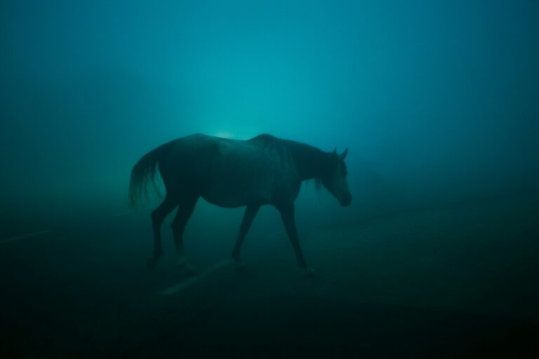 fethi benattallah geqhiyhhdhg unsplash