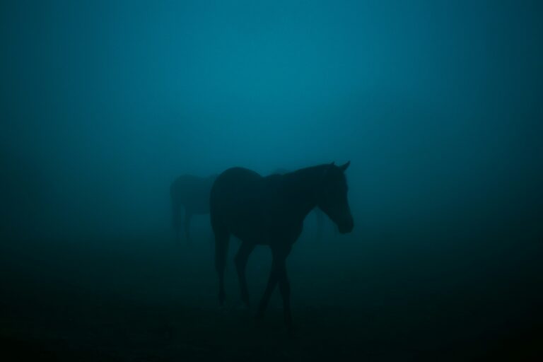 fethi benattallah mguvsau tve unsplash