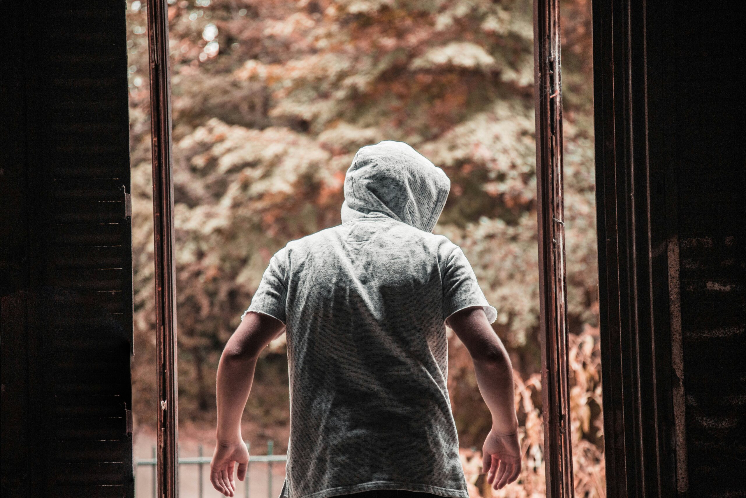 gwendal cottin 5ld9nf79suu unsplash scaled