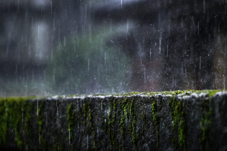 kevin wang bi423dxleyk unsplash