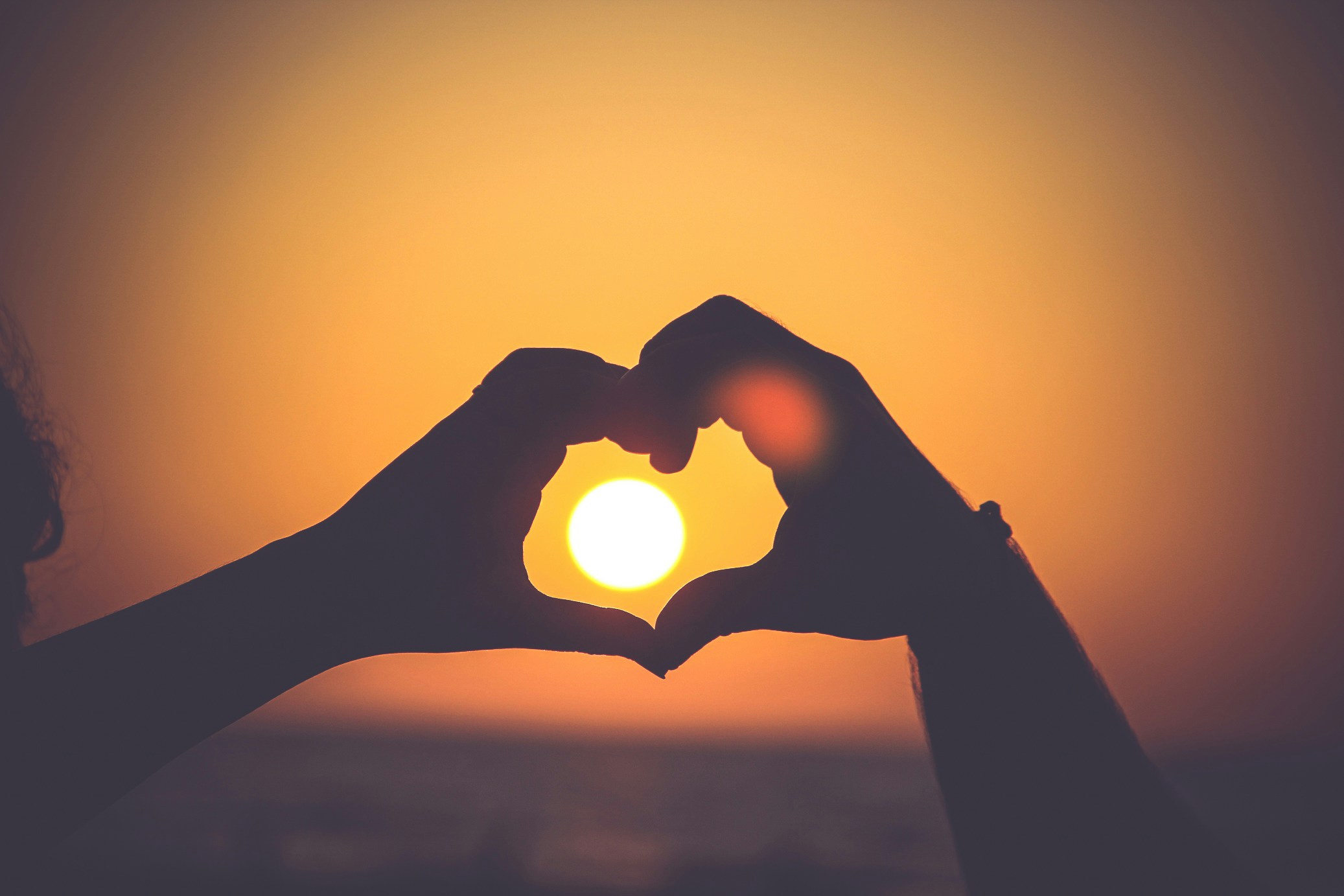 mayur gala 2podhmrvlik unsplash