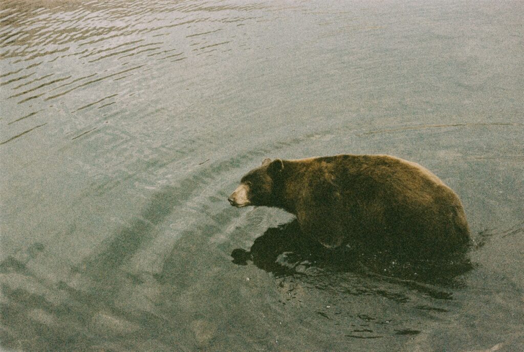 megan nixon xbr alk55u8 unsplash