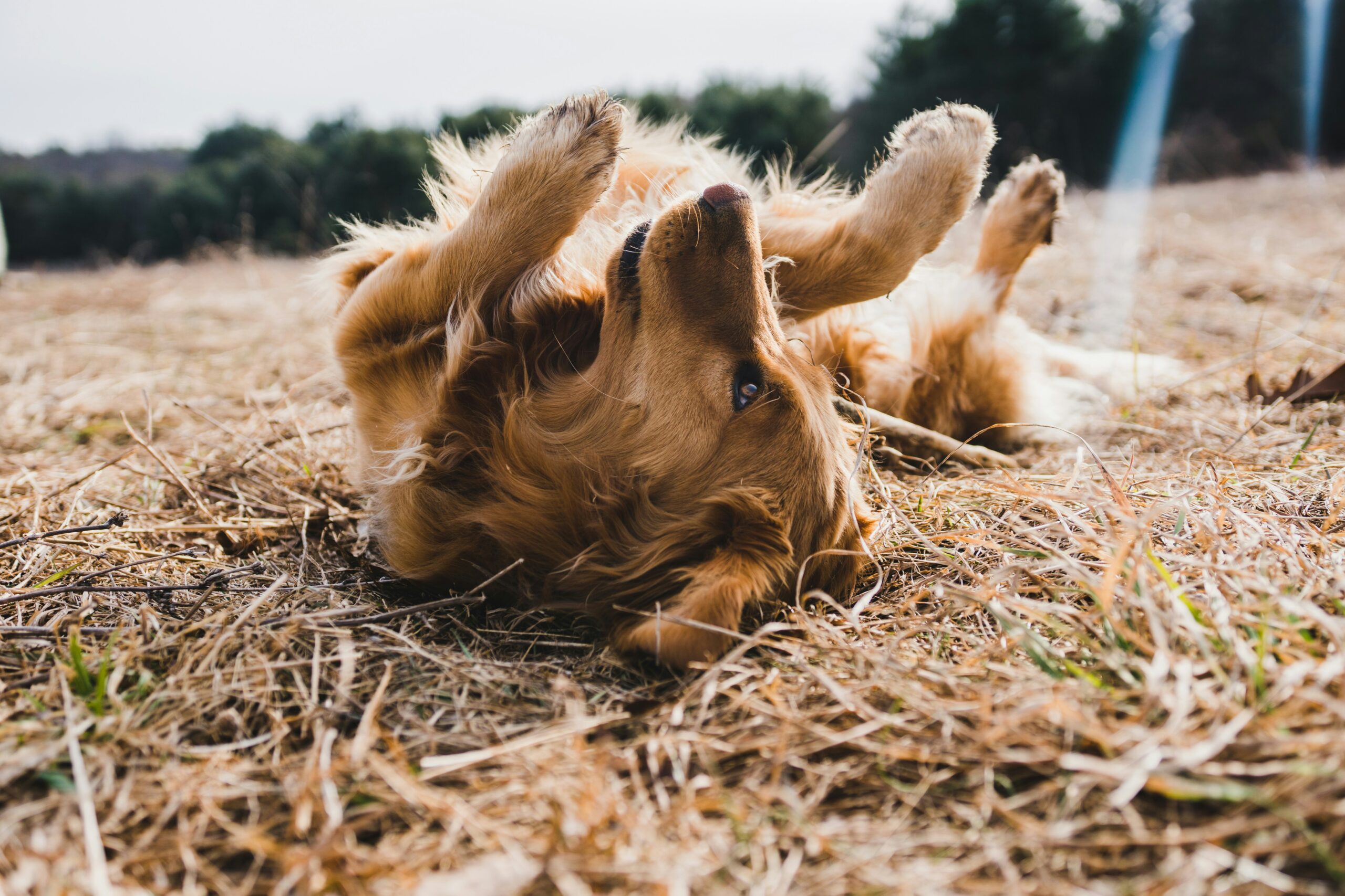 michael oxendine t7wwffh6x8e unsplash scaled