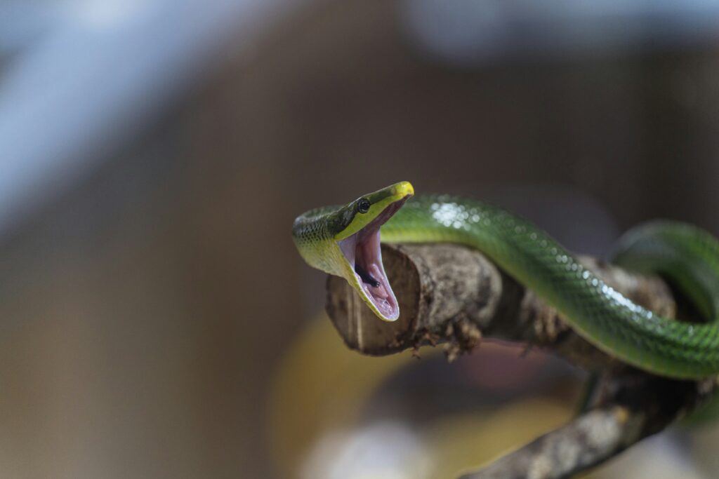 robin le mee srybymwhjby unsplash