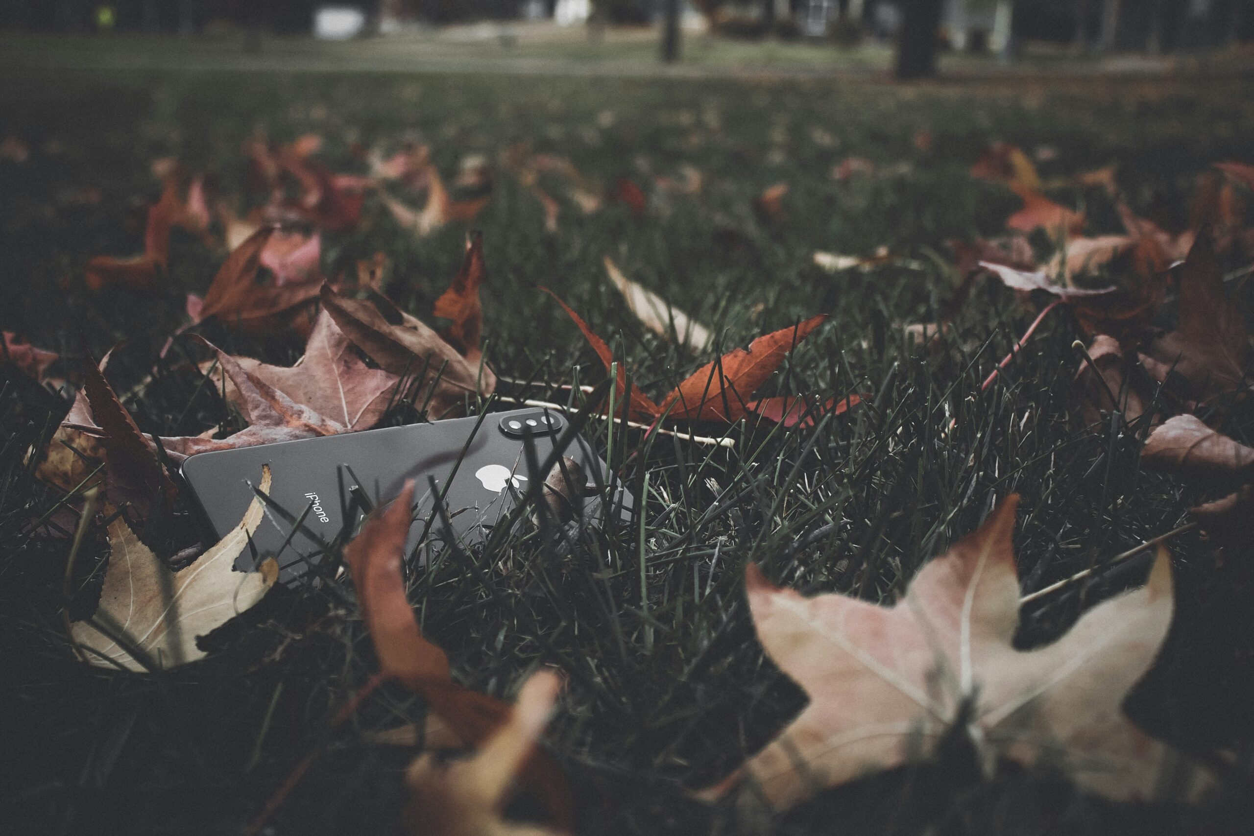 saketh o 3en 7w7jq unsplash scaled
